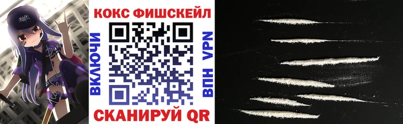 наркошоп  Зеленогорск  COCAIN Fish Scale 