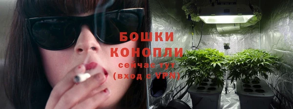 spice Алзамай