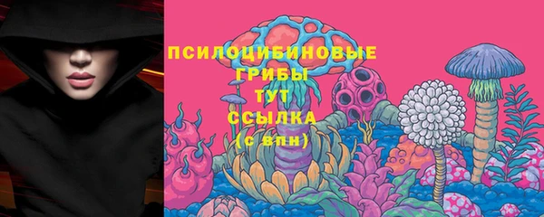 spice Алзамай